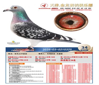 天津金龍鴿王34名