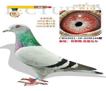 強烈推薦:葛斯頓.范德瓦爾 本身榮獲1000公里亞軍