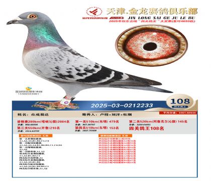 天津金龍鴿王108名