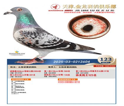 天津金龍鴿王123名