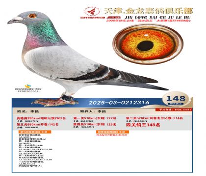 天津金龍鴿王148名