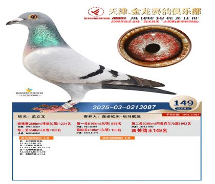 天津金龍鴿王149名