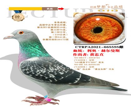 臺(tái)灣黃忠值作出”利奧·赫爾曼斯“