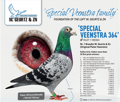 40個(gè)冠軍的父親364號(hào)