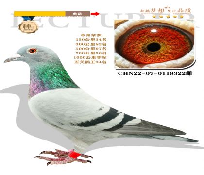 血統(tǒng):蓋比.凡得那比 本身榮獲1000公里季軍