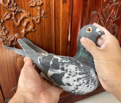 c]̨}ϕِ1fԪMáW.ՠ˹H