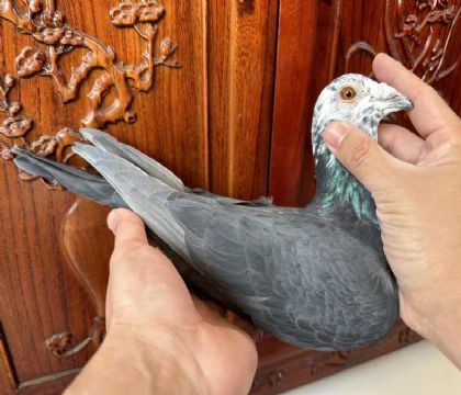 ̨󱱅^xِ.lѪSPC27