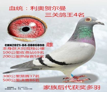 ͬ(jng)Qِ86P(gun)4W