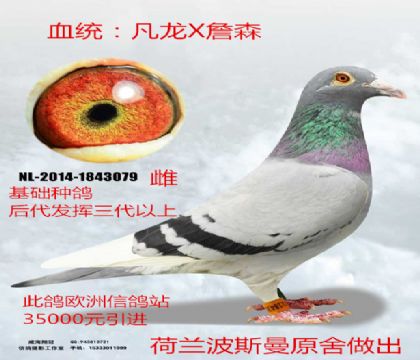 35000ԪM(jn)m˹ԭᷲXղɭĸ