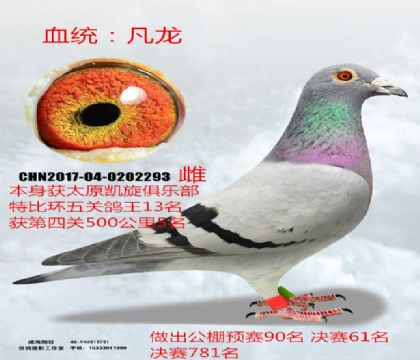 PرȆP(gun)5P(gun)13ĸ