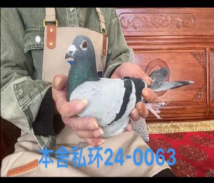 范登布克羅西塔X好紅0063