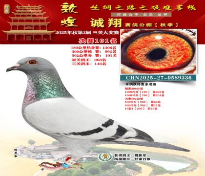 敦煌诚翔决赛101名