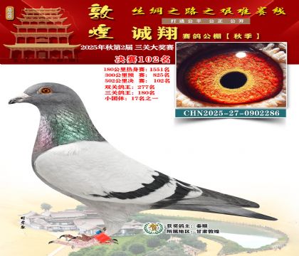 敦煌诚翔决赛102名