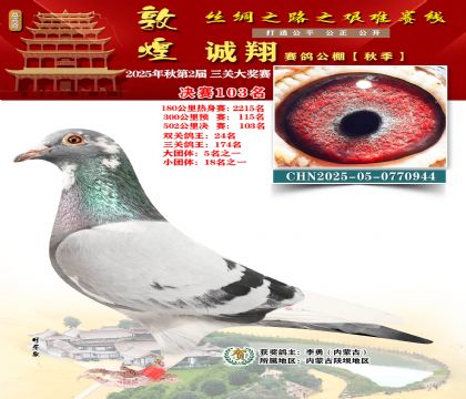 敦煌诚翔决赛103名