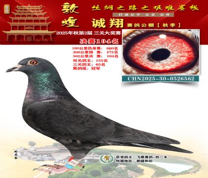 敦煌诚翔决赛104名