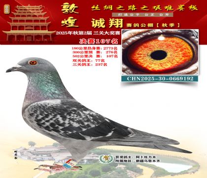 敦煌诚翔决赛107名