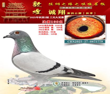 敦煌诚翔决赛108名