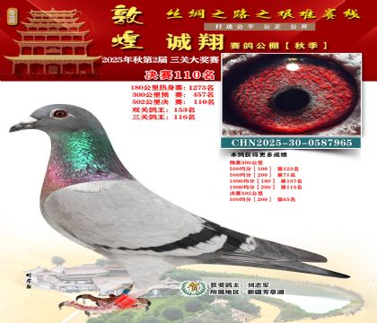 敦煌诚翔决赛110名