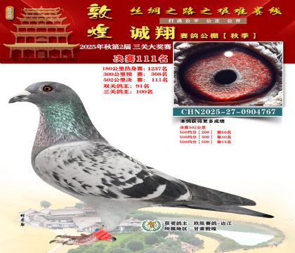 敦煌诚翔决赛111名