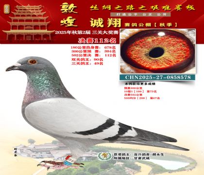 敦煌诚翔决赛112名