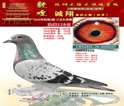 敦煌诚翔决赛113名