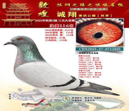 敦煌诚翔决赛114名