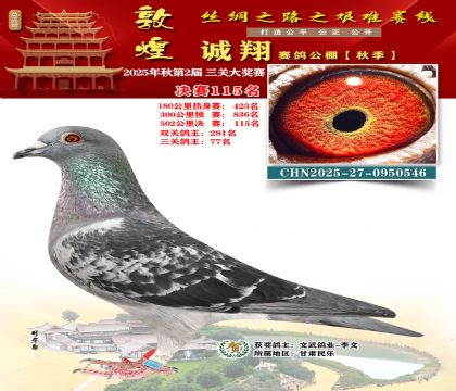 敦煌诚翔决赛115名