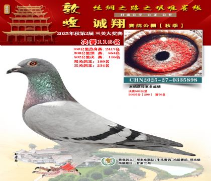 敦煌诚翔决赛116名