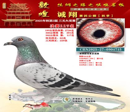 敦煌诚翔决赛117名