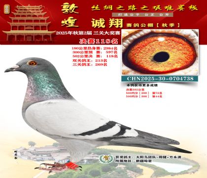 敦煌诚翔决赛118名