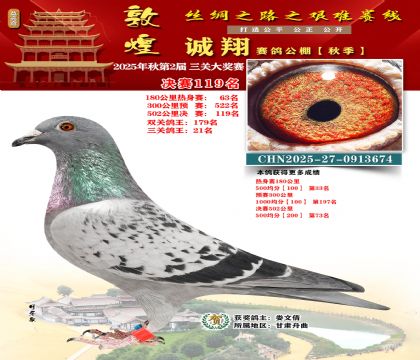 敦煌诚翔决赛119名