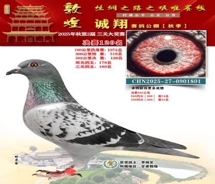 敦煌诚翔决赛120名