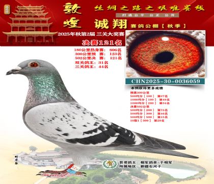 敦煌诚翔决赛121名