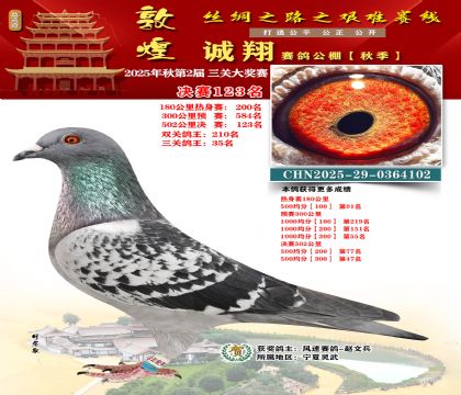 敦煌诚翔决赛123名