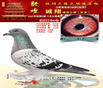 敦煌诚翔决赛124名