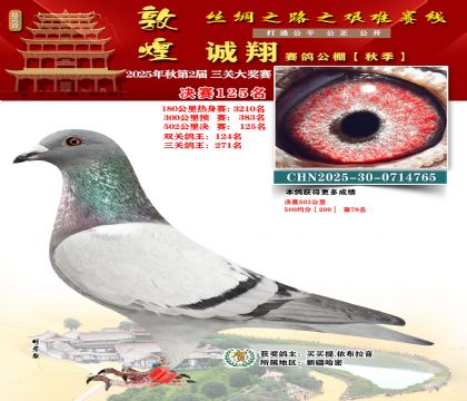 敦煌诚翔决赛125名