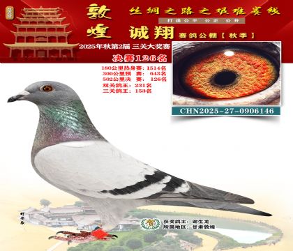 敦煌诚翔决赛126名