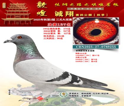 敦煌诚翔决赛127名