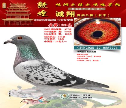 敦煌诚翔决赛129名