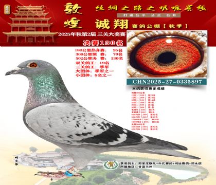敦煌诚翔决赛130名(三关鸽王季军)