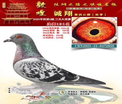 敦煌诚翔决赛131名