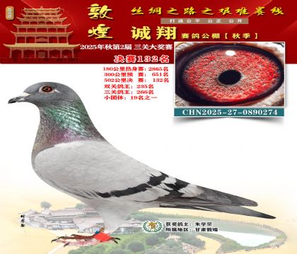 敦煌诚翔决赛132名