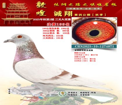 敦煌诚翔决赛133名