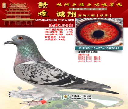 敦煌诚翔决赛134名