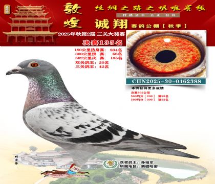 敦煌诚翔决赛135名