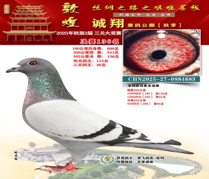 敦煌诚翔决赛136名