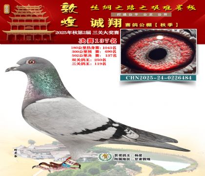 敦煌诚翔决赛137名