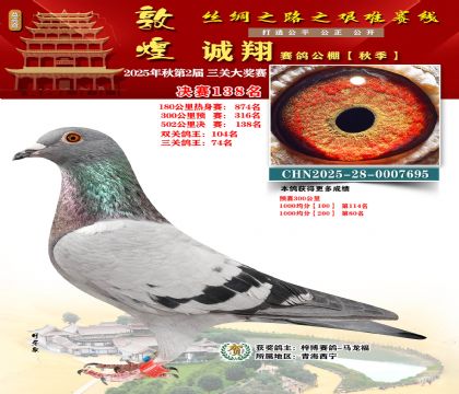 敦煌诚翔决赛138名