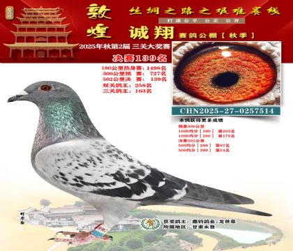 敦煌诚翔决赛139名