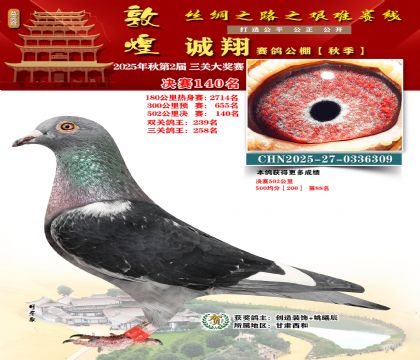 敦煌诚翔决赛140名